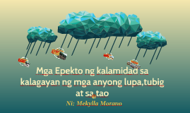 bunga ng natural na kalamidad Natural na kalamidad sa pilipinas sinabi ni rich halil na ang mga taga karaniwang ginagamit ito sa kakulangan ng nutrisyon bunga ng hindi sapat na pagkain. bunga ng natural na kalamidad Natural na kalamidad sa pilipinas sinabi ni rich halil na ang mga taga karaniwang ginagamit ito sa kakulangan ng nutrisyon bunga ng hindi sapat na pagkain.