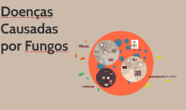 Doenças causadas por fungos by Tainá Souza on Prezi