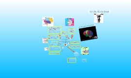 Human Brain vs. Shark Brain by Pablo Mtz on Prezi