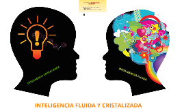 INTELIGENCIA FLUIDA Y CRISTALIZADA by Stephannie Mercado on Prezi