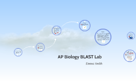 AP Biology BLAST Lab by Emma Smith on Prezi