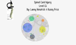 Diabetes by Kasey Price on Prezi Diabetes by Kasey Price on Prezi