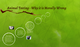 Why Is Animal Testing Wrong