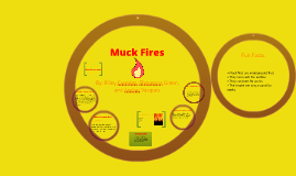 muck fires