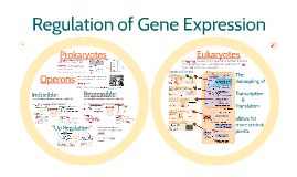 Ap biology frq gene regulation