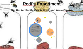 redi's experiment procedure