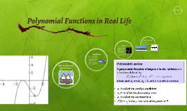 How are polynomials used in everyday life?