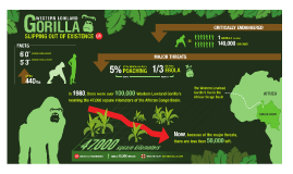 The Western Lowland Gorillas by Zane Groshelle on Prezi