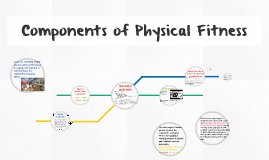 physical components
