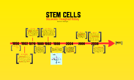 stem opt timeline