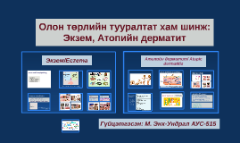 Ясны бүтэц, үйл ажиллагаа by Ундка Энх-Ундрал on Prezi
