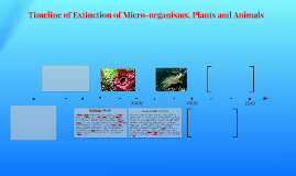 Timeline Of Extinction Of Micro-organisms, Plants And Animal By ...