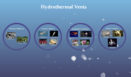 Hydrothermal Vents by Cassandra Vincent on Prezi