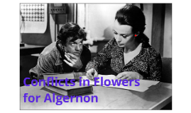 Examples Of Conflict In Flowers For Algernon