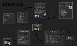 Stromae racine carree free download zip