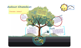 Chameleon Life Cycle Diagram