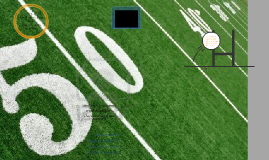 Football fanaticism case study 03 picture