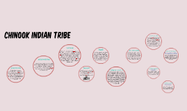 What are some facts about the Chinook tribe?