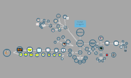 Concept map assignment 3 3 1 image
