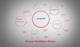 Procesos Psicologicos Basicos By Gabriela Guerrero Velazquez On Prezi