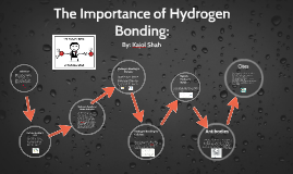 hydrogen importance bonding copy prezi bondi