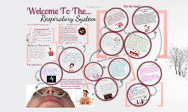 Copy of Respiratory System Travel Brochure by Shea Gowin on Prezi