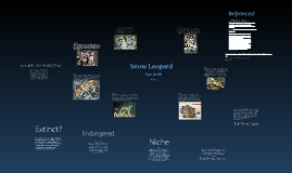 Leopard Adaptations by samuel smith on Prezi