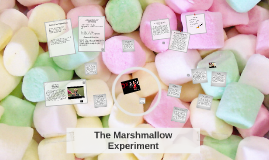 marshmallow experiment hypothesis