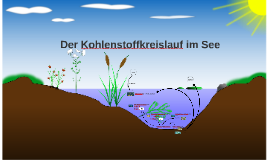 Der Kohlenstoffkreislauf im See by snork snodderick on Prezi