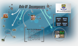 decomposers role prezi