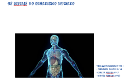 Copy of Os metais no organismo humano