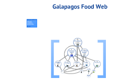 Galapagos Food Web by Emily Adar on Prezi