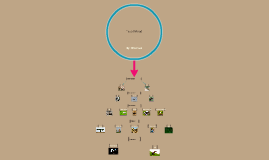 Example of food web in Northwestern madagascar by Glenn Handoko on Prezi