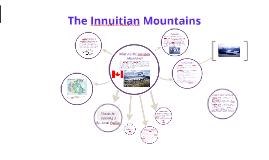 What is the vegetation of the Innuitian Mountains?