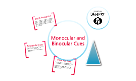 monocular and binocular cues