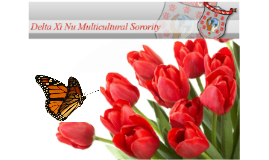 Dazzling Delta Chapterr