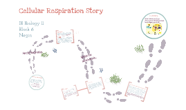 Cellular Respiration Story By Negin A On Prezi