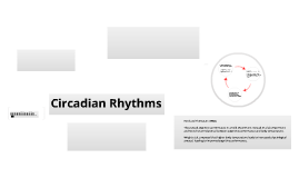 explanations of circadian rhythms Is it possible to completely reset your circadian rhythm for emotional healing and lessened anxiety levels yes, and here's how to do it. explanations of circadian rhythms Is it possible to completely reset your circadian rhythm for emotional healing and lessened anxiety levels yes, and here's how to do it.