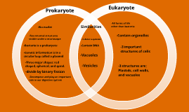 Prokaryote vs. Eukaryote Venn Diagram by sam rocco on Prezi