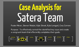 Satera team case study 05 picture