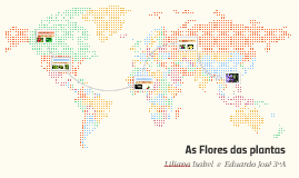 As Flores das plantas