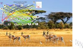 African Savanna Food Web by The Legend on Prezi