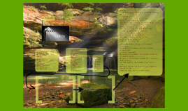 To see the rabbit by alan brownjohn essay 03 image