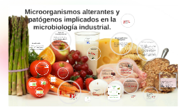 microorganismos patogenos en alimentos
