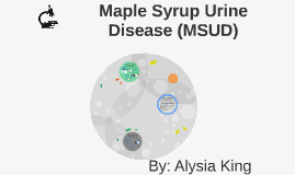 all are characteristics of maple syrup urine disease except