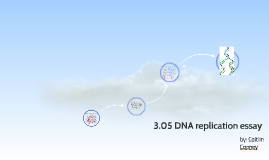 Dna replication essay