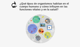 Las medicinas contra el reforzamiento de la potencia