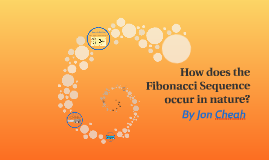 fibonacci sequence in nature handout pdf