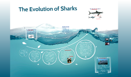 Evolution of Sharks by caija campbell on Prezi