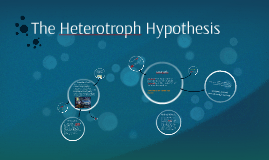 what statement is part of the heterotroph hypothesis